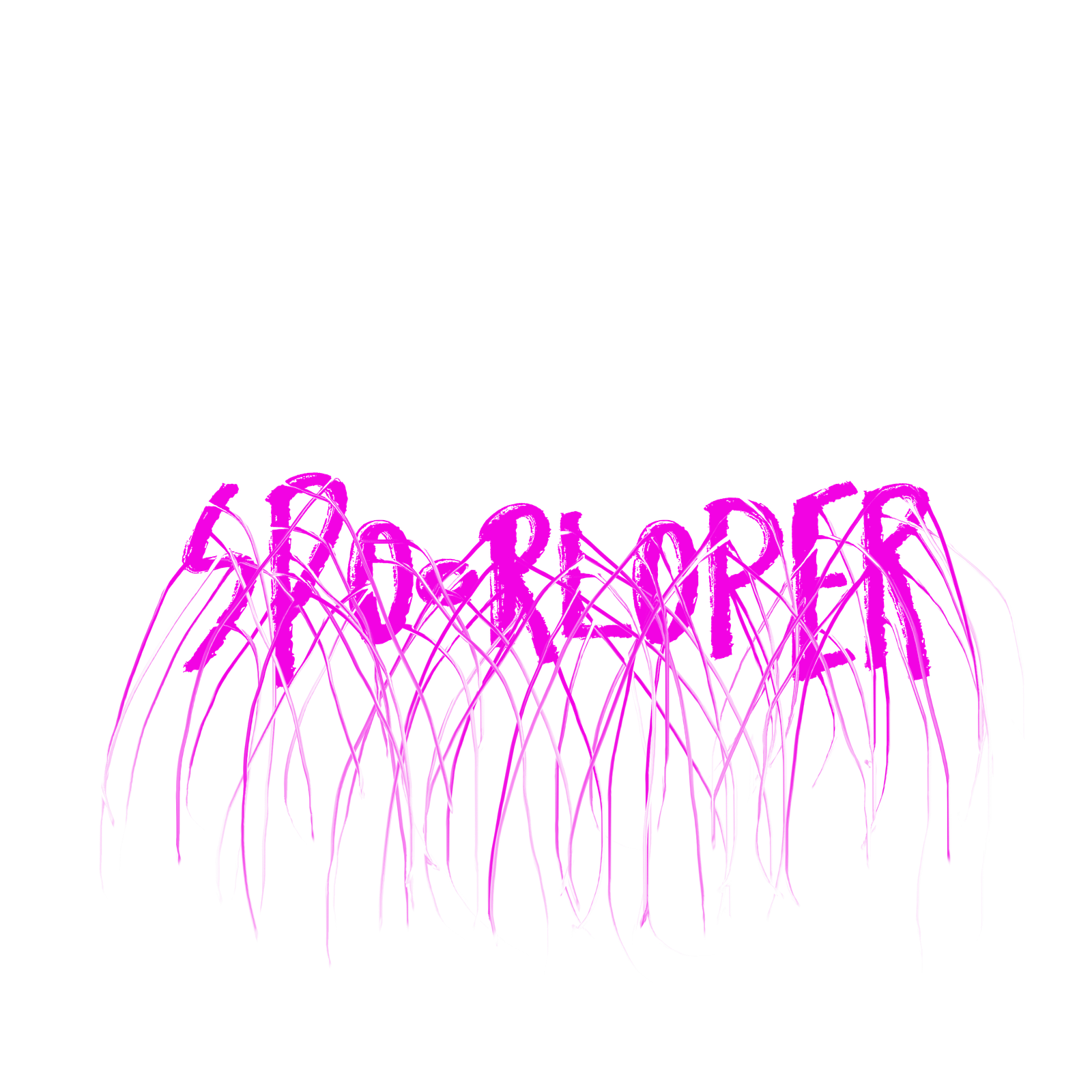 Spoorloper
